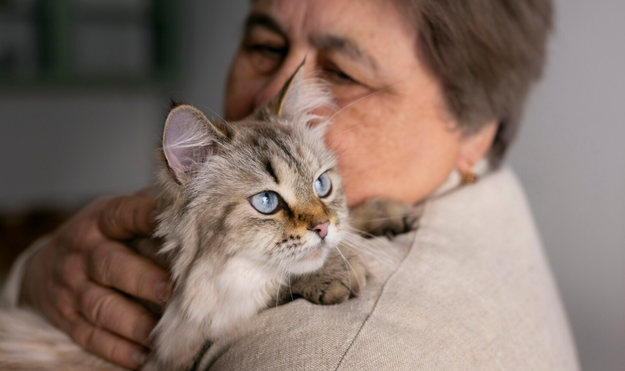Почему кошка трется об ноги или голову человека – 5 причин, которые стоит знать владельцам домашних питомцев