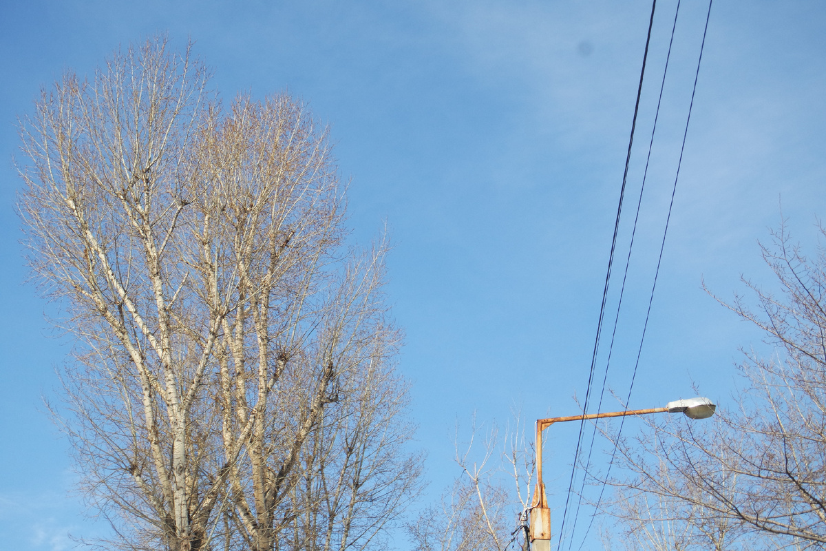 автор канала идёт и ворон считает... думает о грядущих поколениях:)