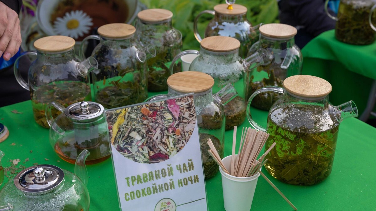    Фото: Александр Чирва/«Ямал-Медиа»