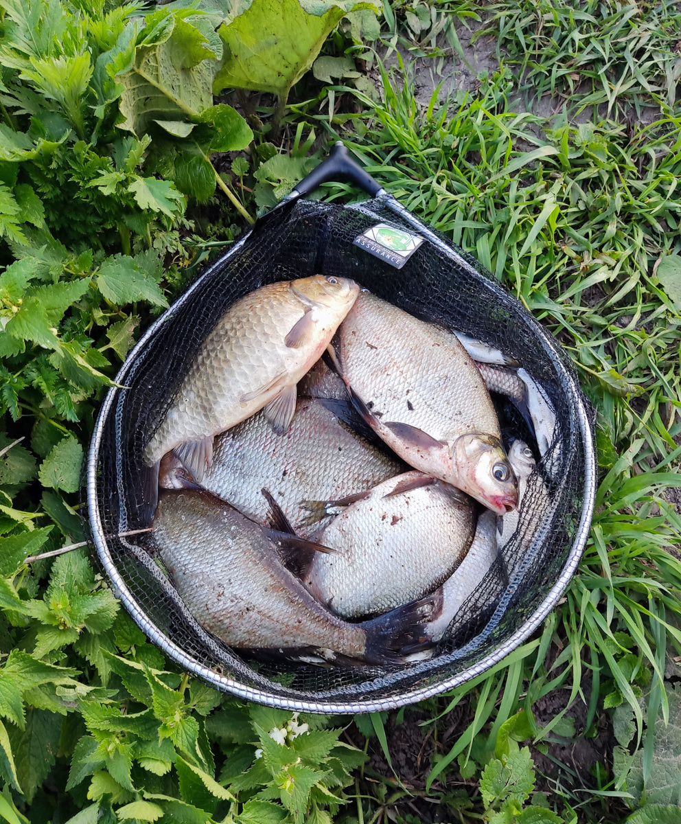 ТОП фидерных ошибок. Часть 3.