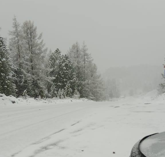 Улаганский перевал