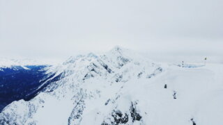    Элина Болдырева Юлия Виноградова