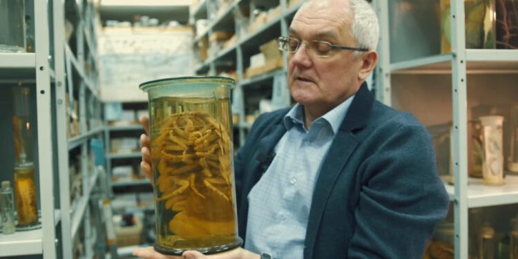    пресс-служба РАН