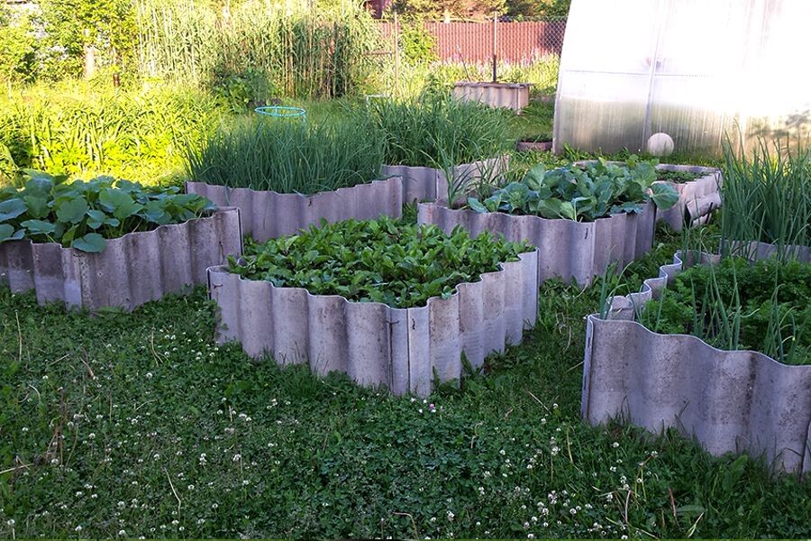 Моим тёплым высоким грядкам более 12-ти лет; старый шифер с крыши дома отлично подошёл для конструкций, фото автора.