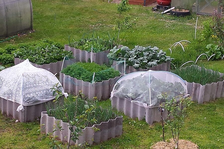 Фото автора, 2025 год.