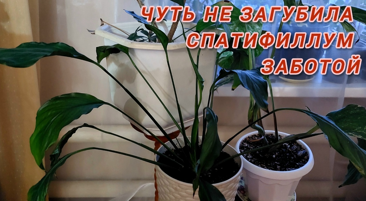 Это он уже начал приходить в себя.