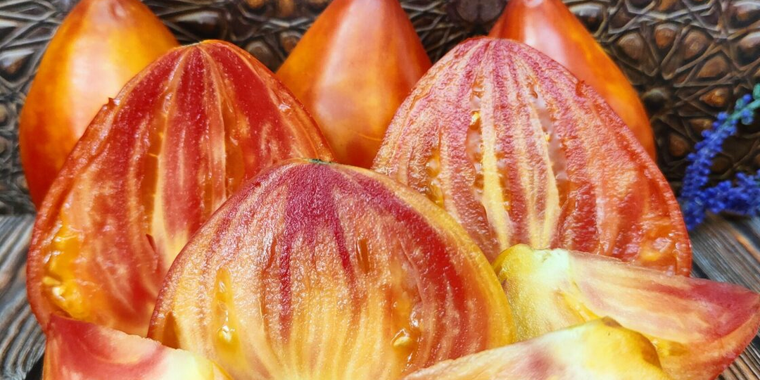 Лучшие сорта томатов по итогу сезона 2025: фавориты, под вопросом и в минус