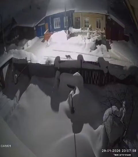    группа ВК «Типичный Котельнич»