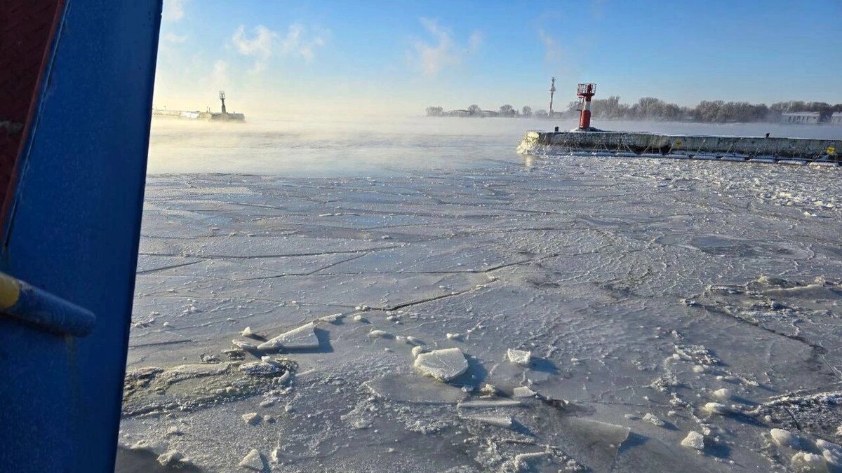    Фото: t.me/besprozvannih