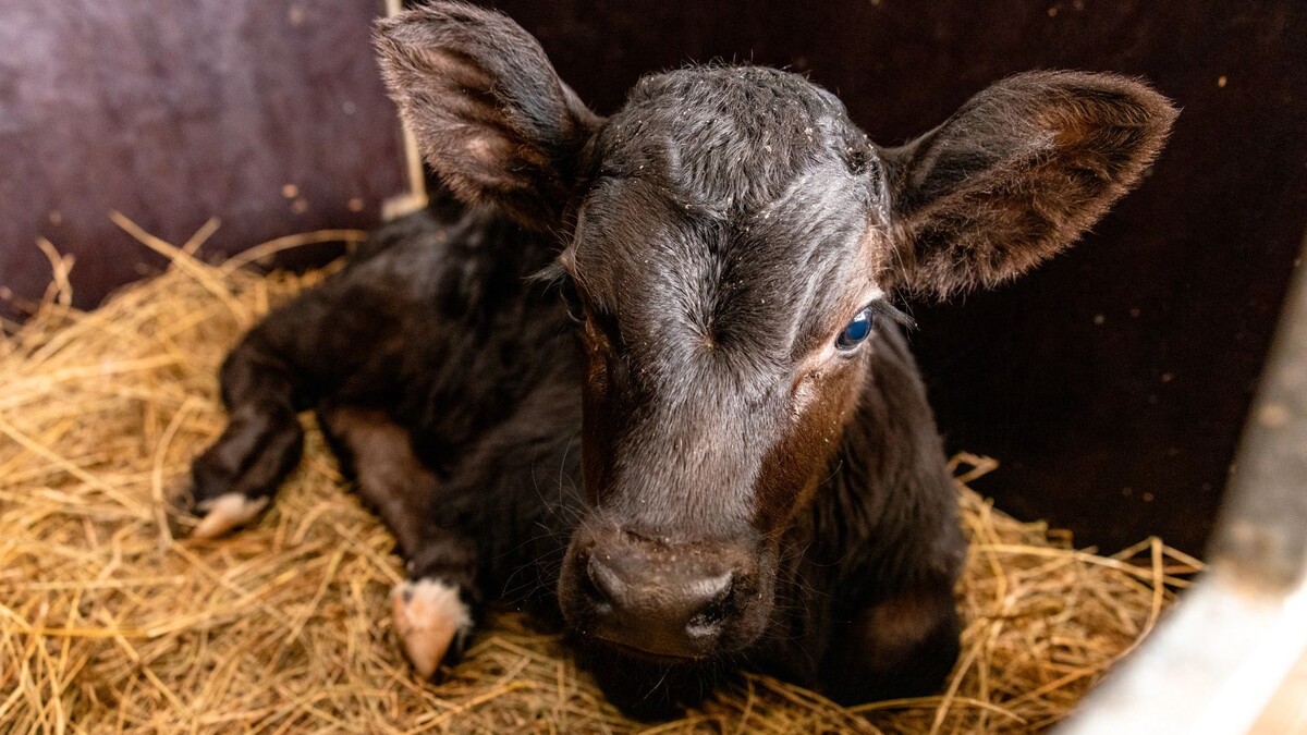    Фото: Сергей Зубков / «Ямал-Медиа»