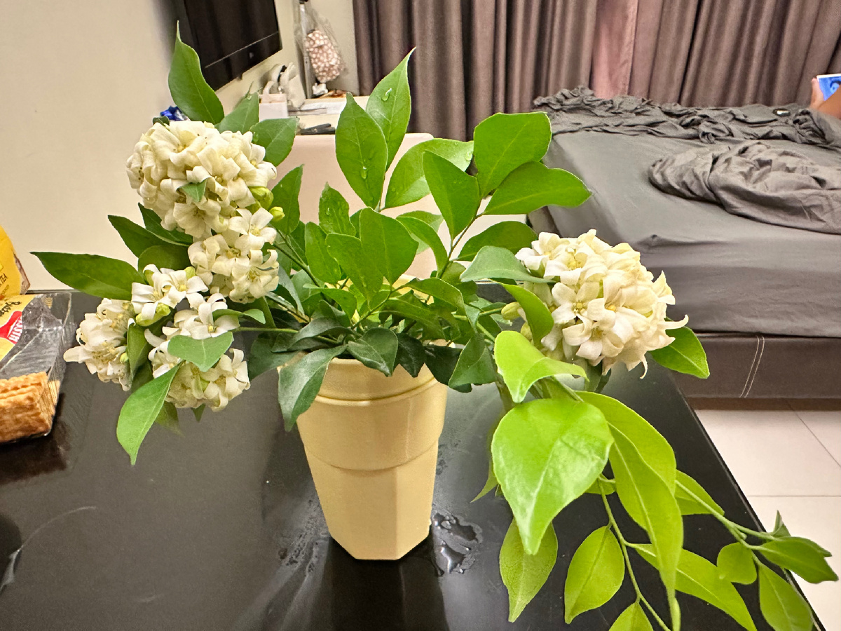 Ждем дочь из Америки в Паттайе.