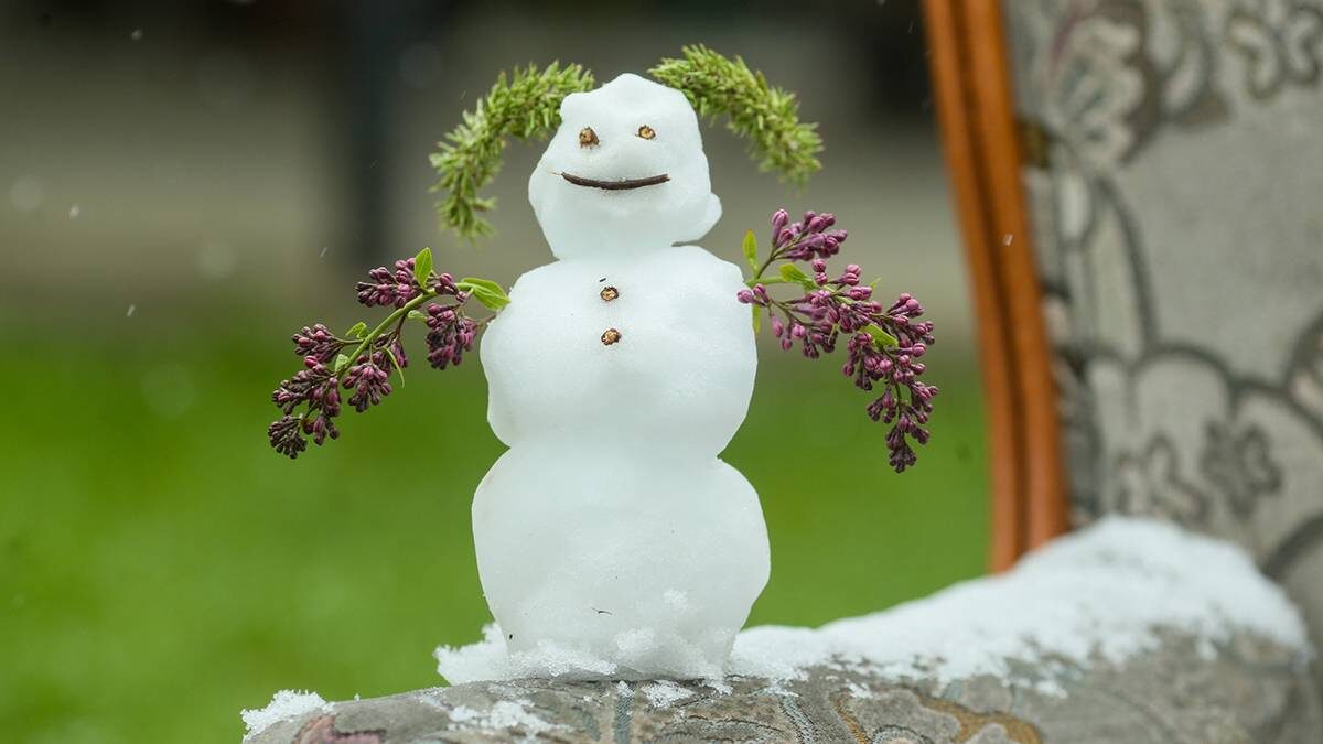    Фото: Василий Кузьмиченок / АГН Москва