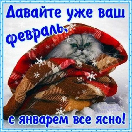 Картинка из сети Интернет