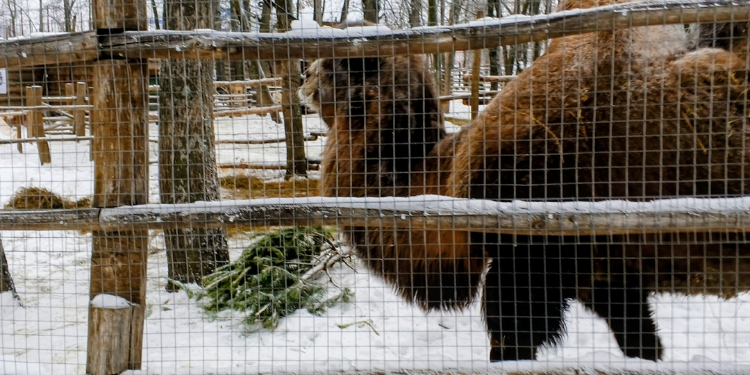 Прогулка по парку.