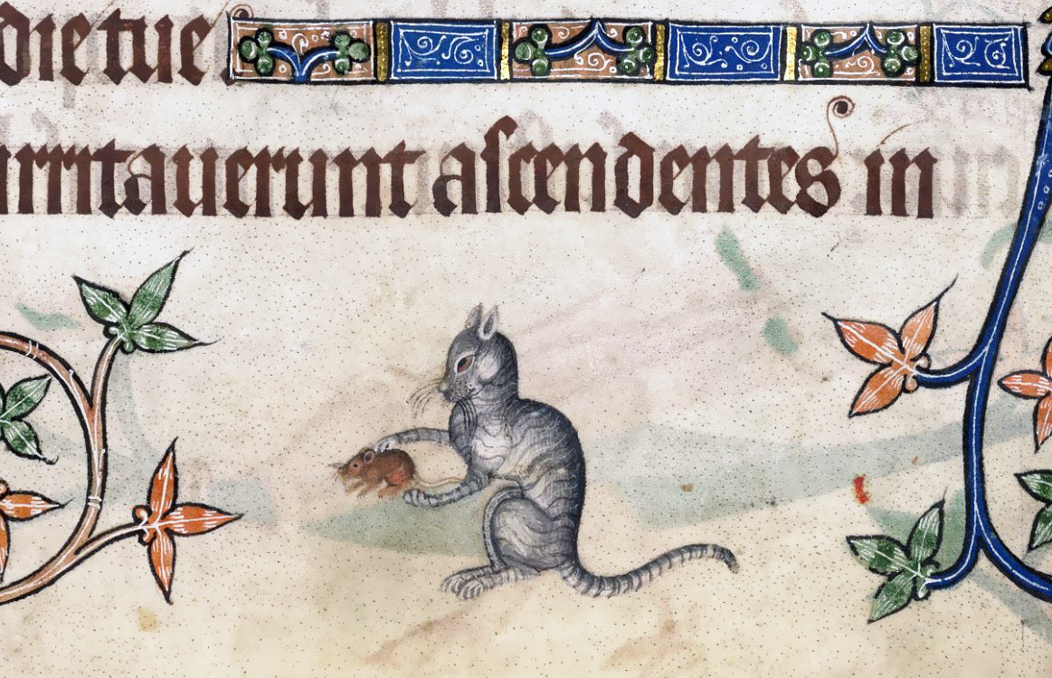 Кошка с мышью. «Псалтирь Латтрелла». Англия, 1325-1340 гг. Британская библиотека, Лондон