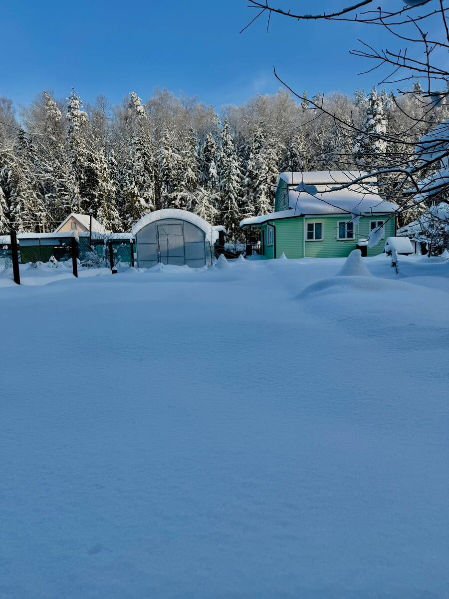 Зимняя гладь. 2026