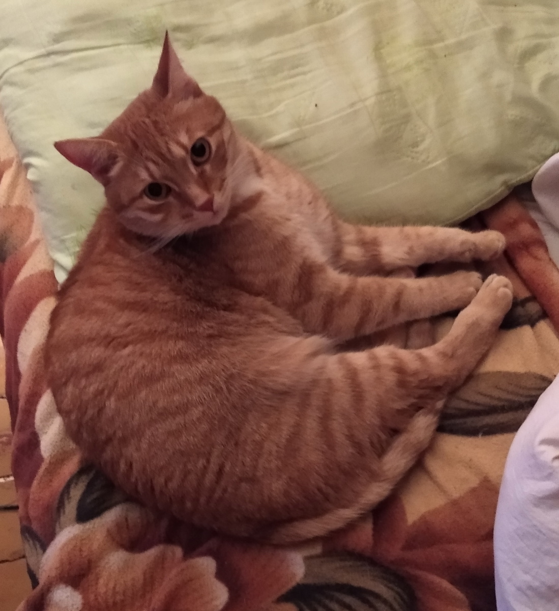 личное  фото