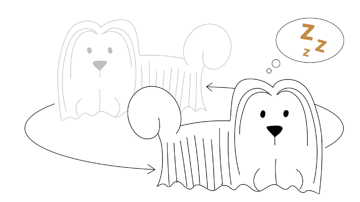 5 привычек собаки, которые человеку кажутся странными, но на деле являются нормой