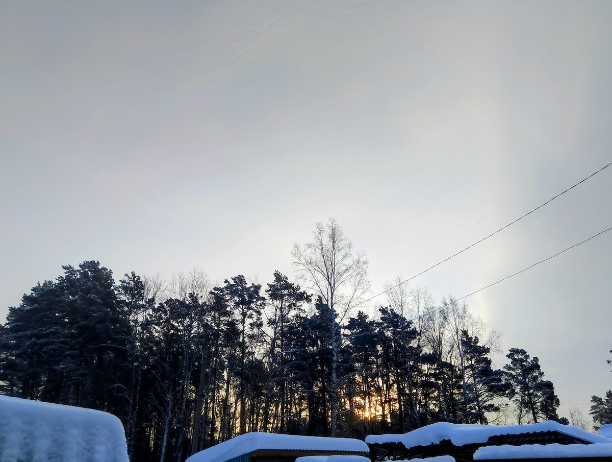 Словила как "встаёт" солнце за лесом