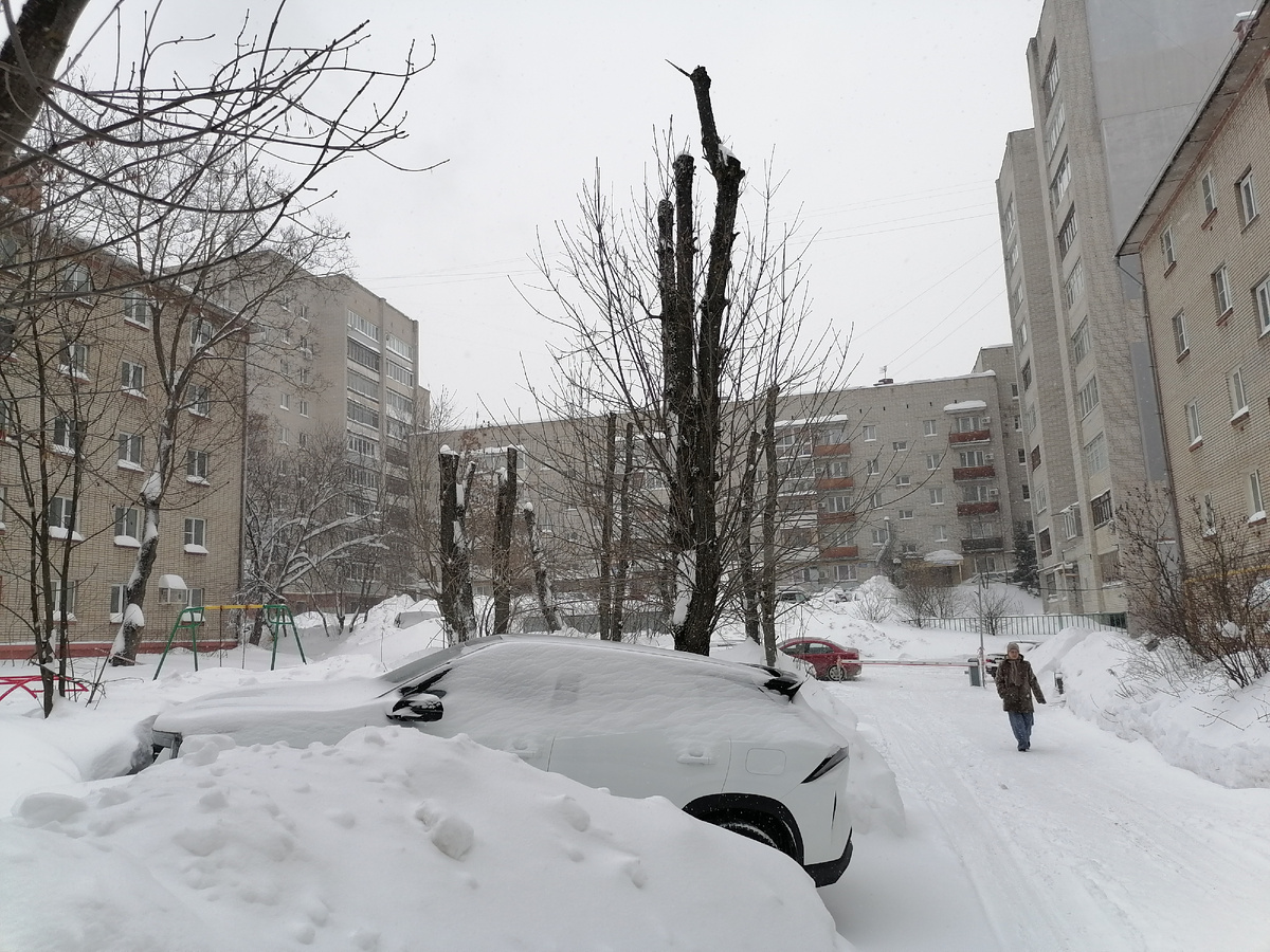 Подборка видов на северо-западный фасад дома по состоянию на 1.2.26