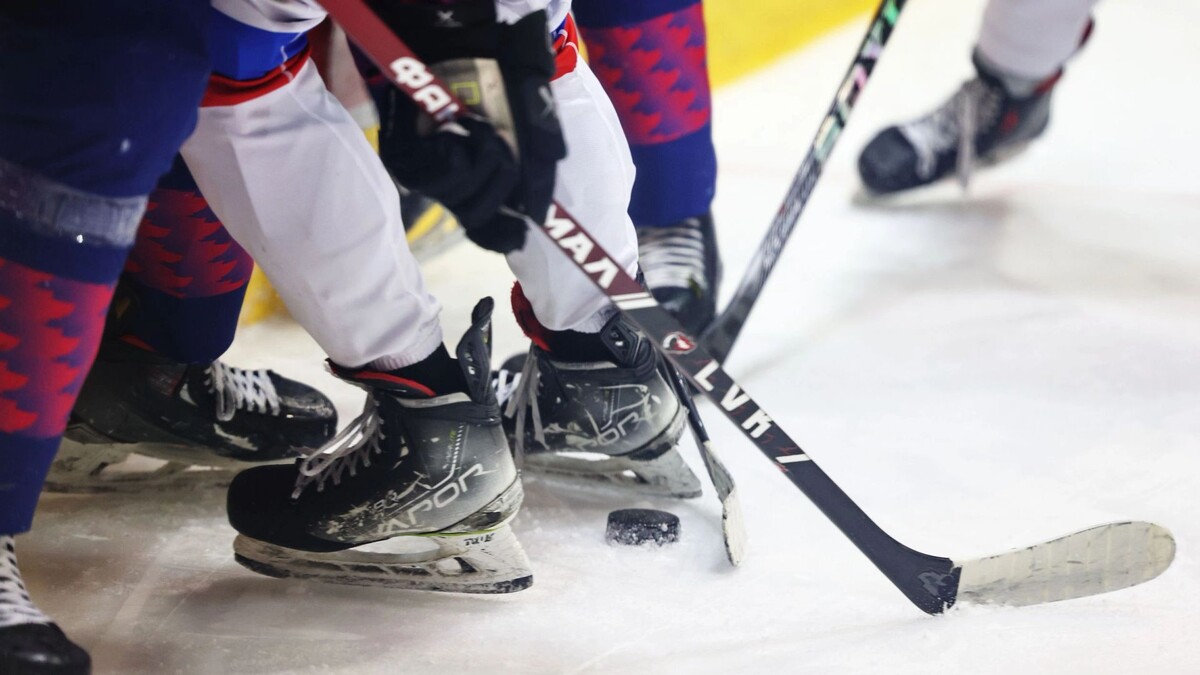    Фото: Андрей Ткачев/«Ямал-Медиа»