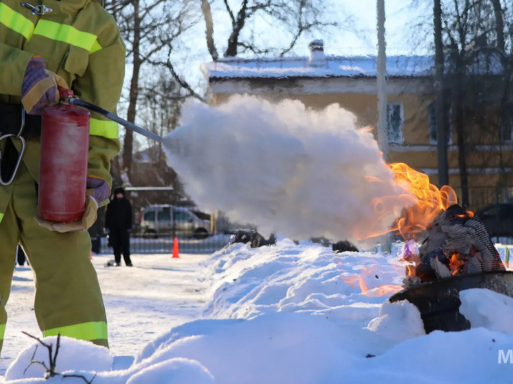     Перед ребятами поставили задачу ликвидировать возгорание за очень короткий промежуток времени. Фото: пресс-служба МЧС по Новгородской области