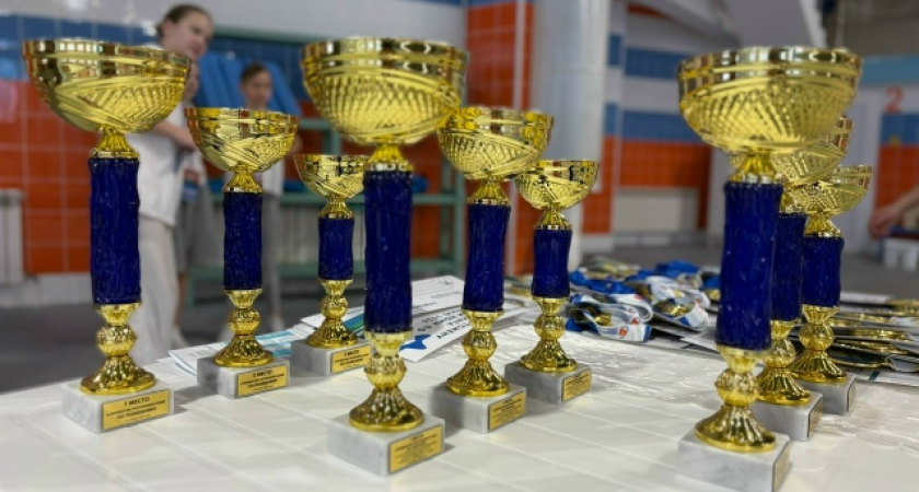    Фото Минспорта Коми