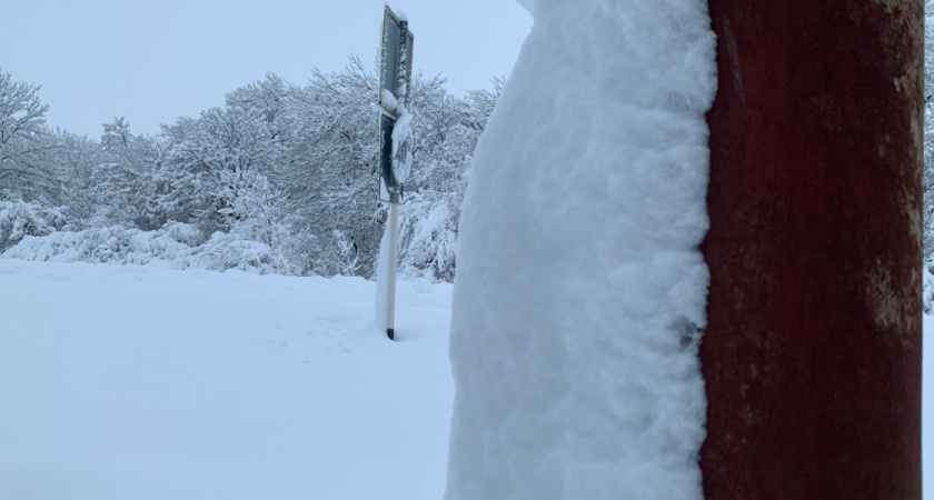    Автор фото — Илья Иваньшин