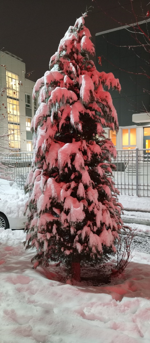 Снег здесь тоже есть и лежит иногда по две недели.
