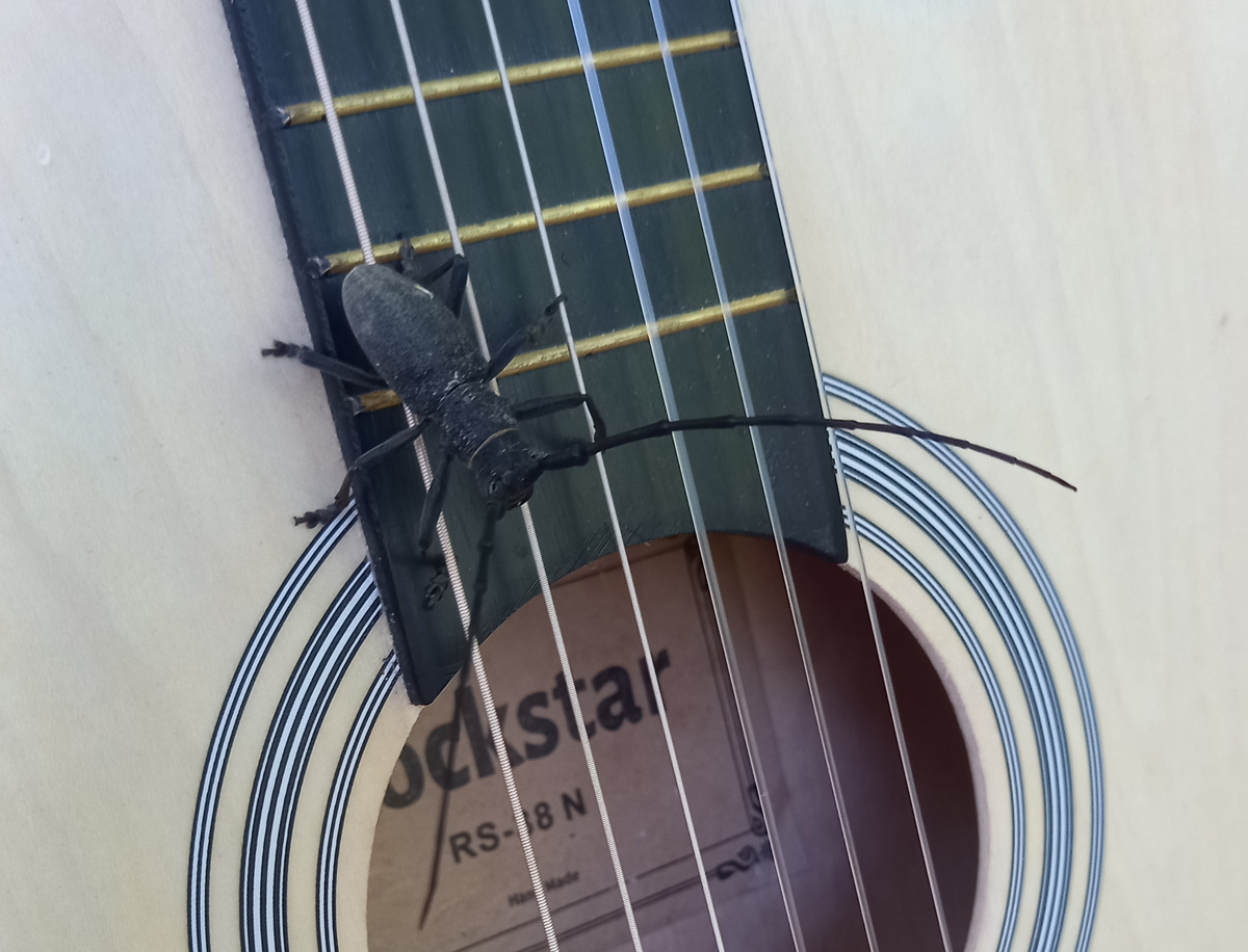 Вот такие звери у нас водятся.