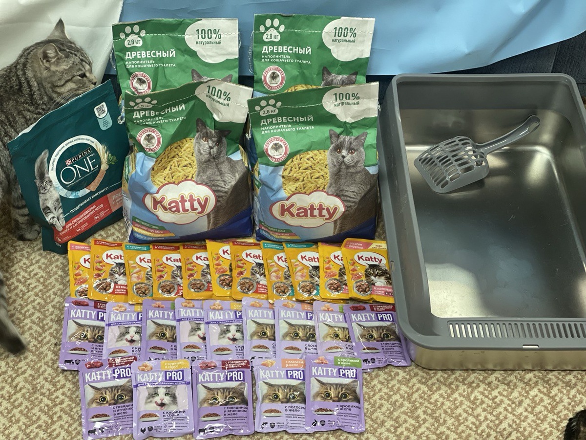 гостинцы от Алсу