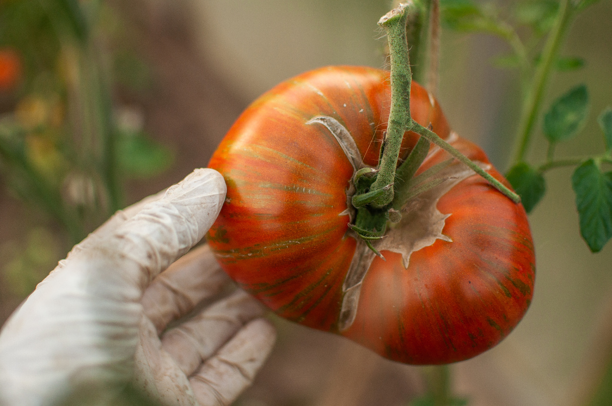 Личное фото