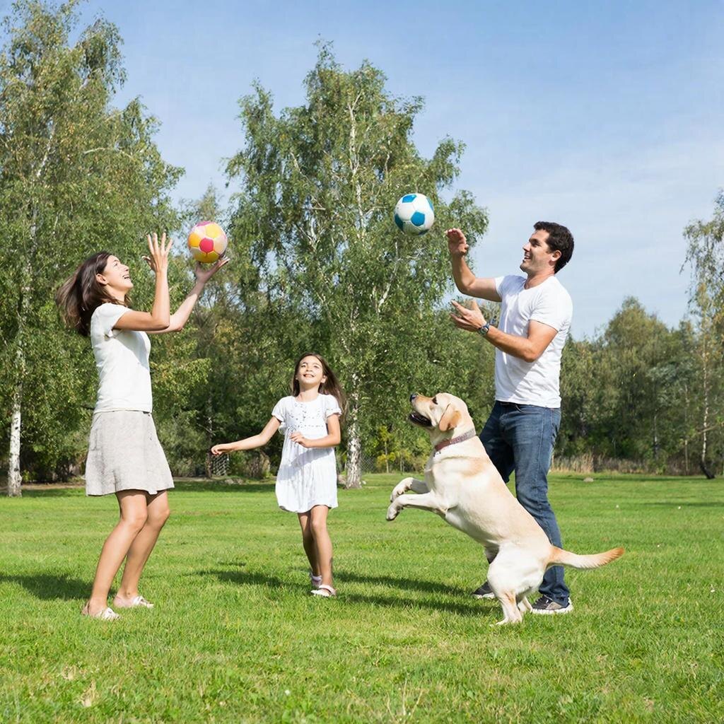 Семейная гармония