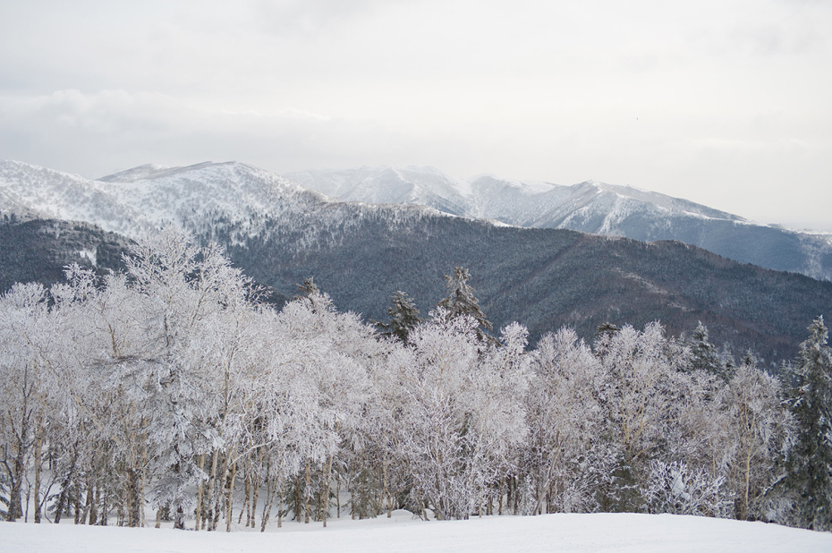    Shutterstock/FOTODOM