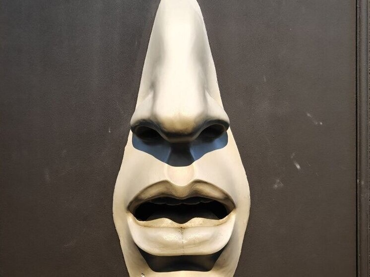     Это может говорить о воспалении или разрушении каких-то зубов, а также проблемах с пищеварением. Фото: Архив МК в Великом Новгороде