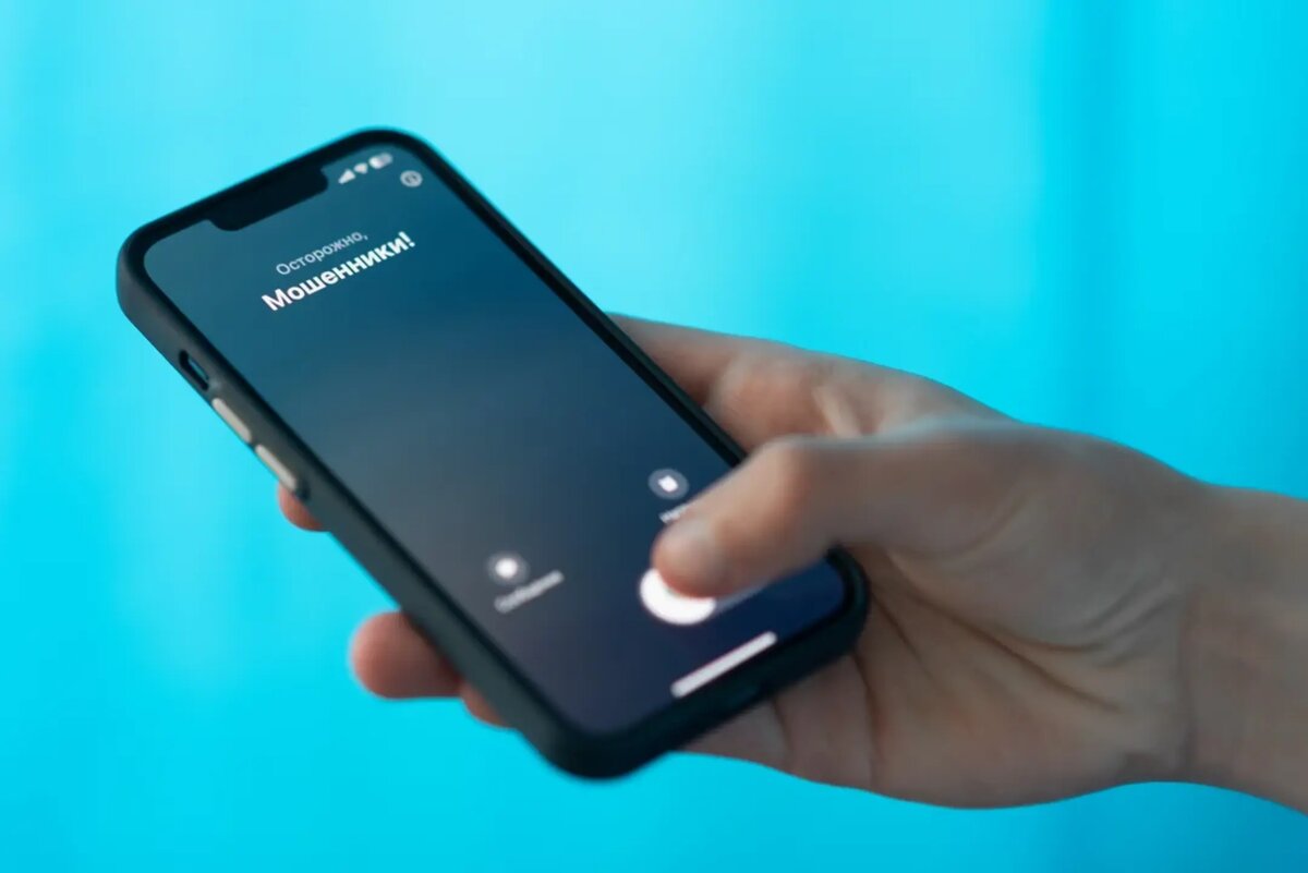 Фото: Олег Харсеев / Коммерсантъ