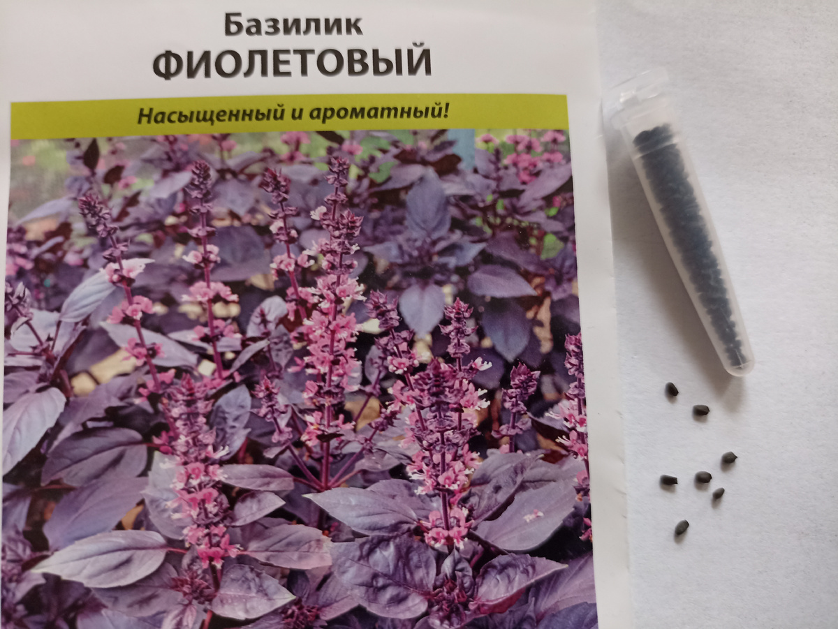 Ревизия семян. Фото автора