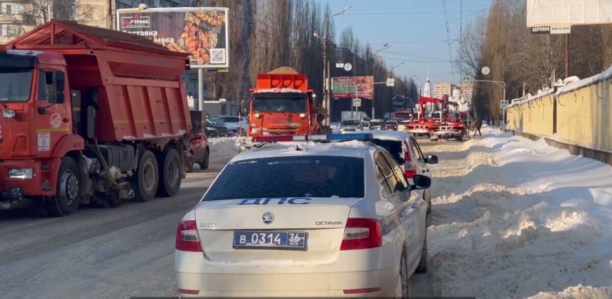    Фото: Мэрия Воронежа