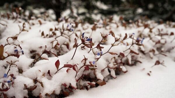    © РИА Новости Крым