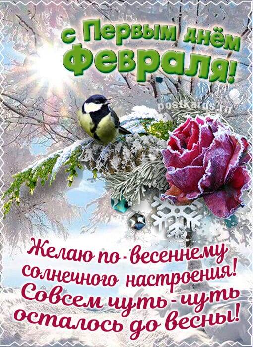 Открытка из интернета.