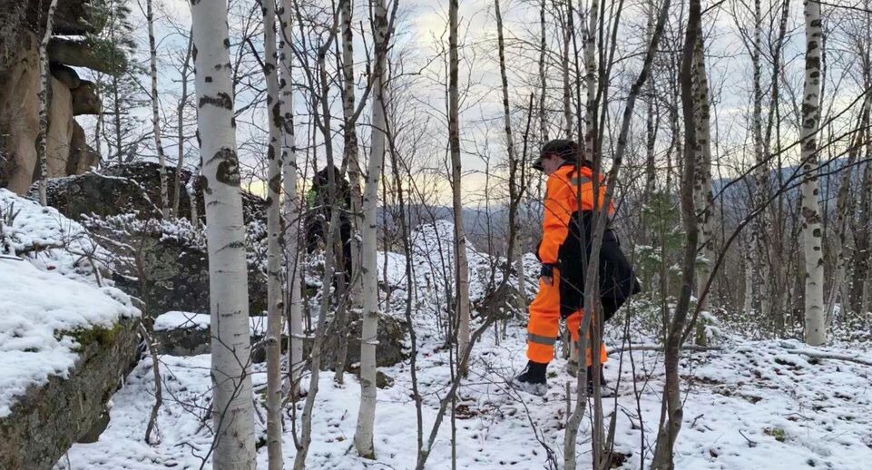    Поисковый отряд "ЛизаАлерт"/ВКонтакте