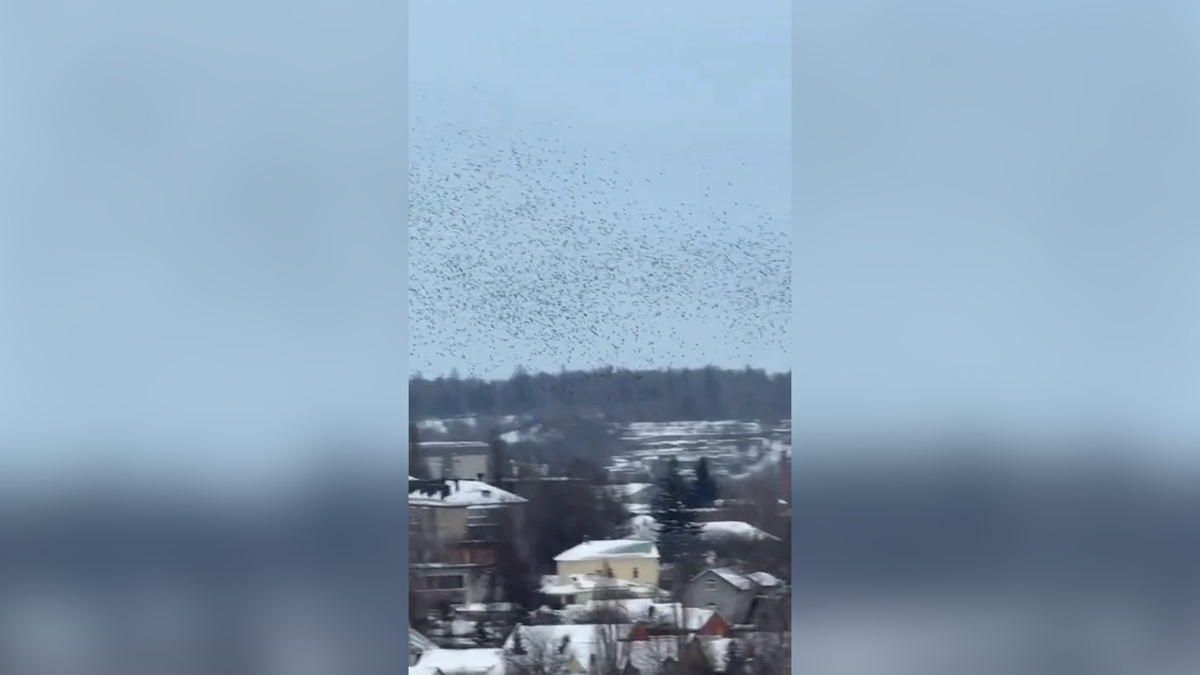    Первый канал