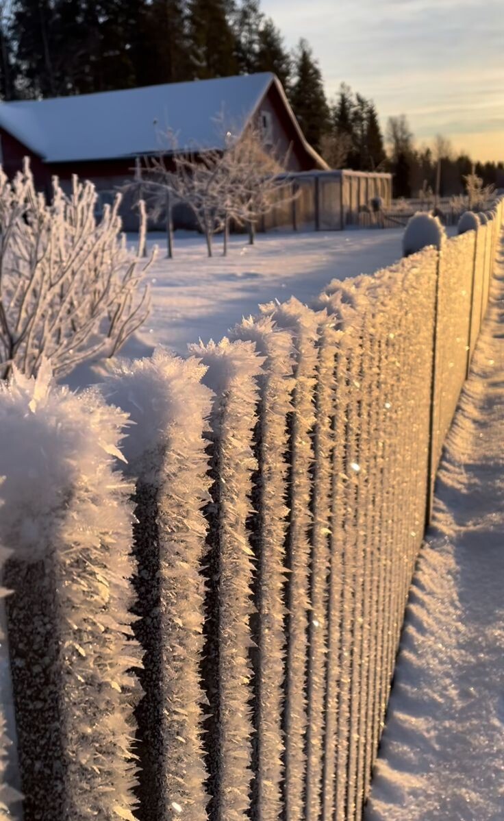 у вас были морозы в этом году?
