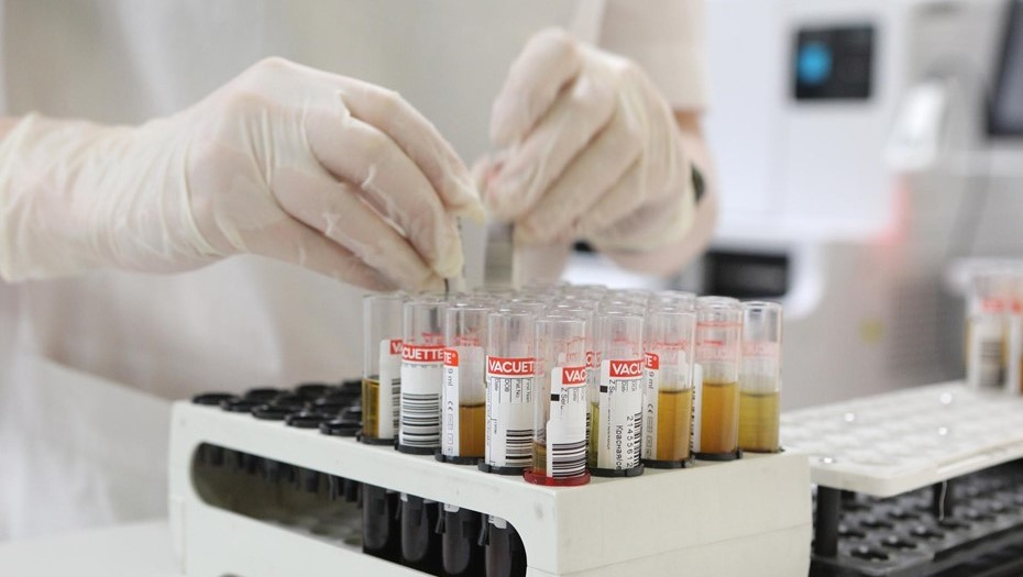 Автор фото: Верещагина Лидия Сафаровна