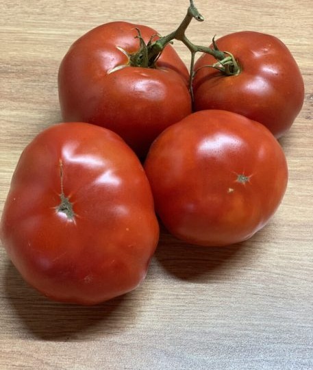 Томат Скороспелка розовая: ранний урожай нежных розовых плодов