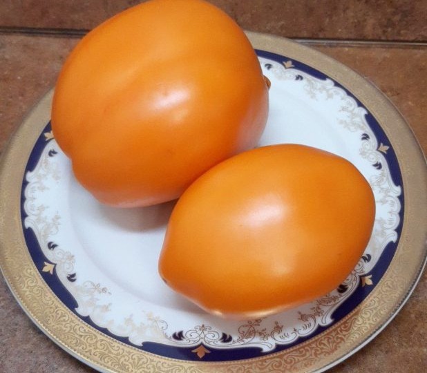 Томат Оранжевая слива: яркий урожай с насыщенным сладким вкусом