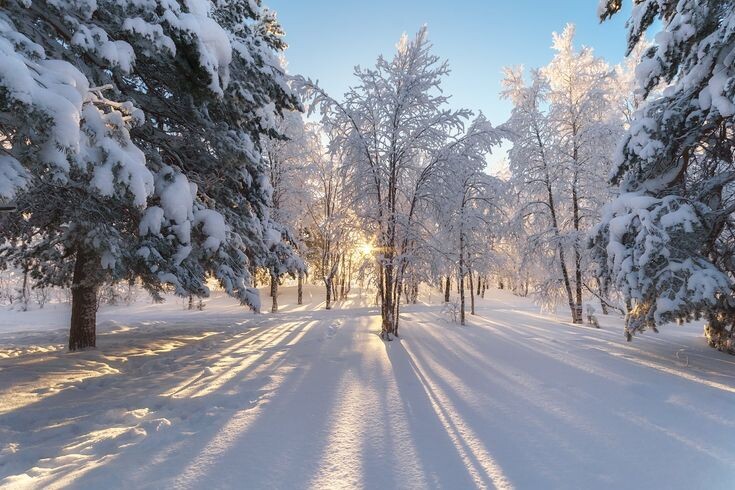 Сегодня первое февраля.