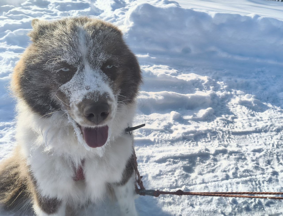 Мне очень понравились эти «очки» Марса, образованные каким-то чудесным для меня, но при этом вполне естественным образом