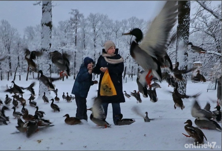 фото: Валентин Илюшин/Online47