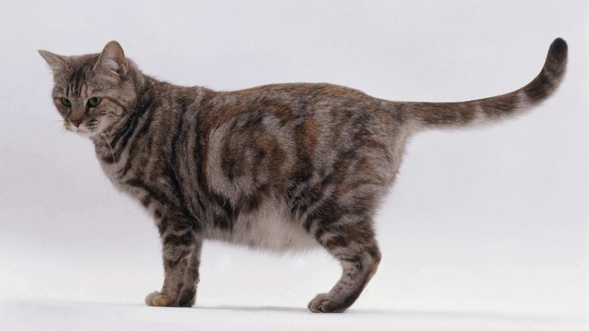 Фотография из интернета